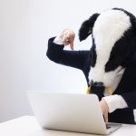 サーバー移転でブログのアクセス数は減る?検索順位は落ちる?実際にメインサイトを動かした結果